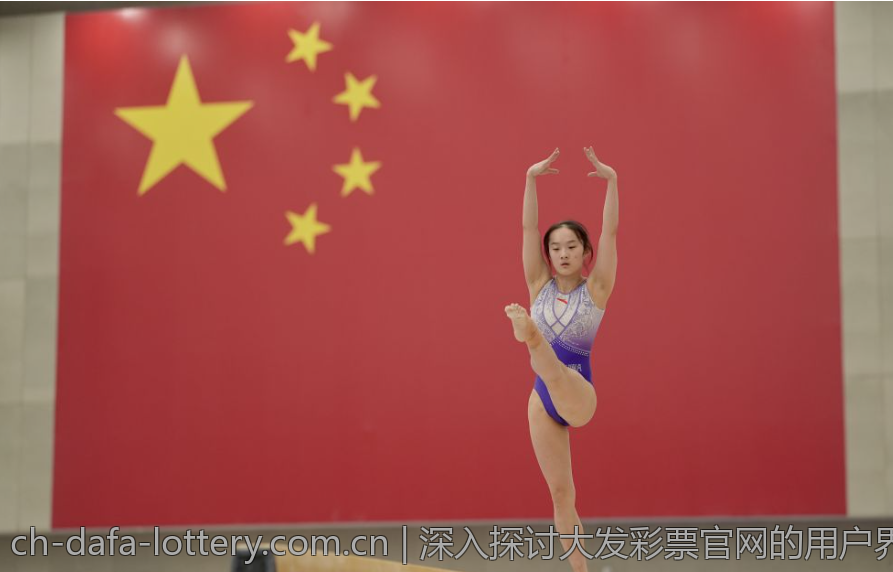 深入探讨大发彩票官网的用户界面设计