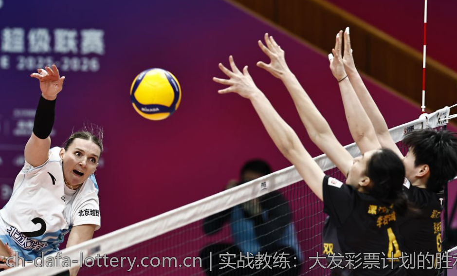 实战教练：大发彩票计划的胜利之道