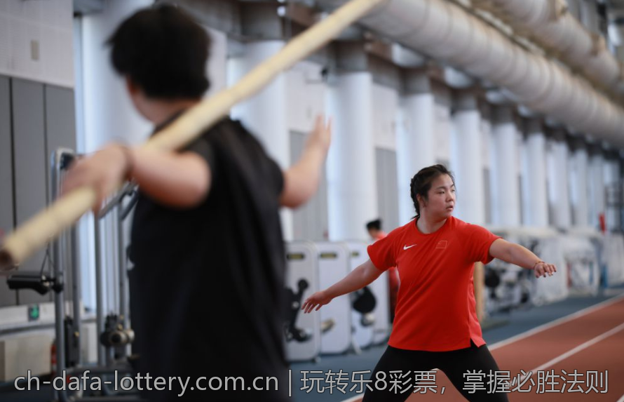 大发彩票体育：从入门到精通的全攻略